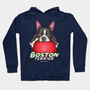 cute funny fur baby Boston Terrier tired mom and dad gift Hoodie